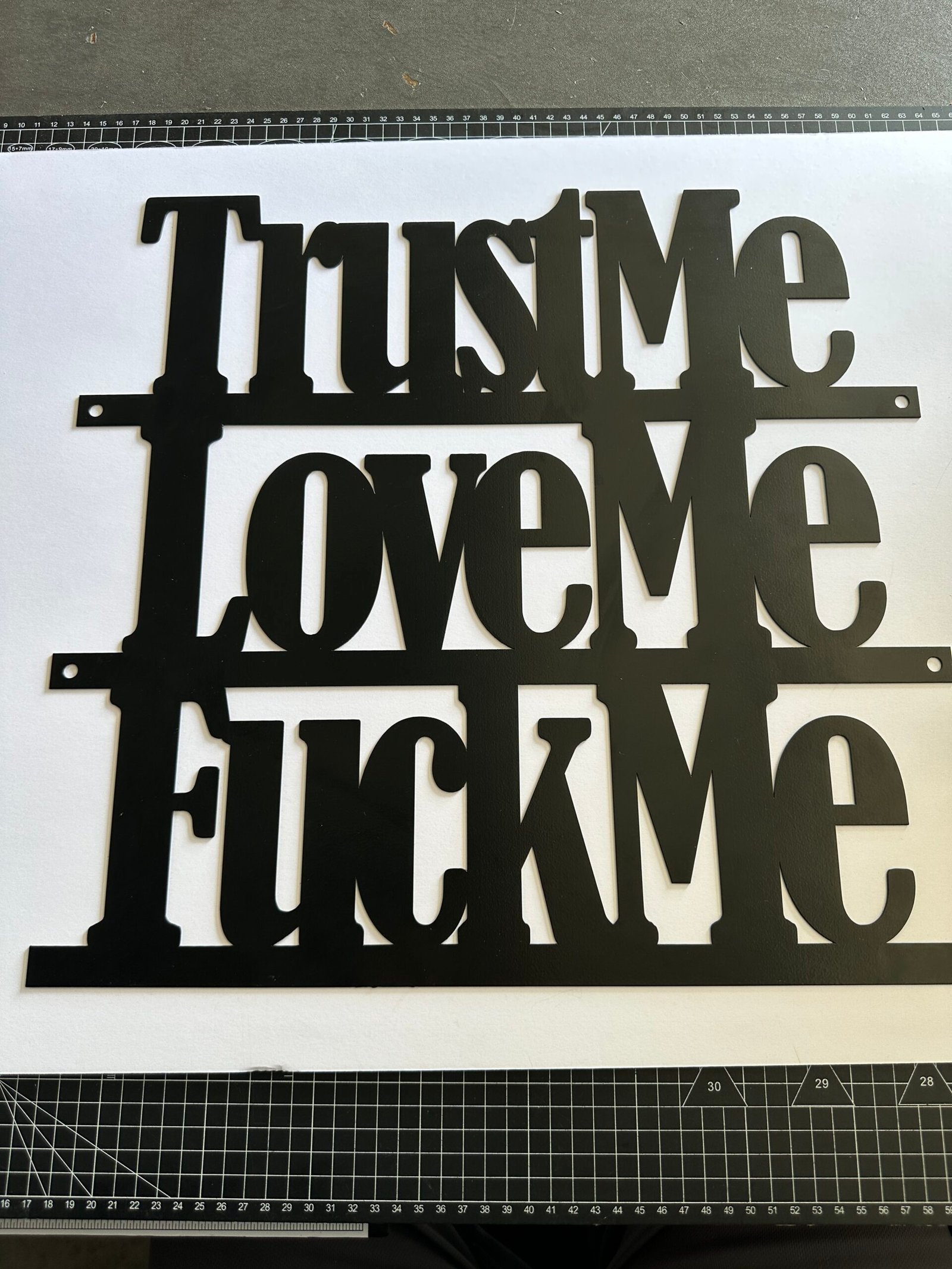 Lg-Trust Me, Love Me, F**k Me - Bold Metal Art - Image 6