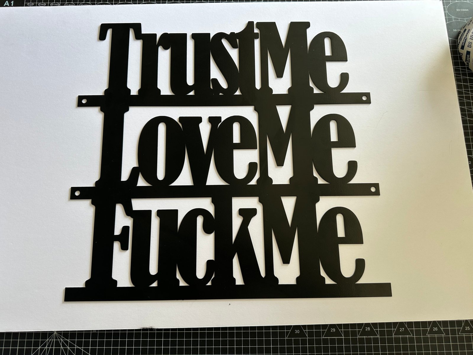 Lg-Trust Me, Love Me, F**k Me - Bold Metal Art - Image 5