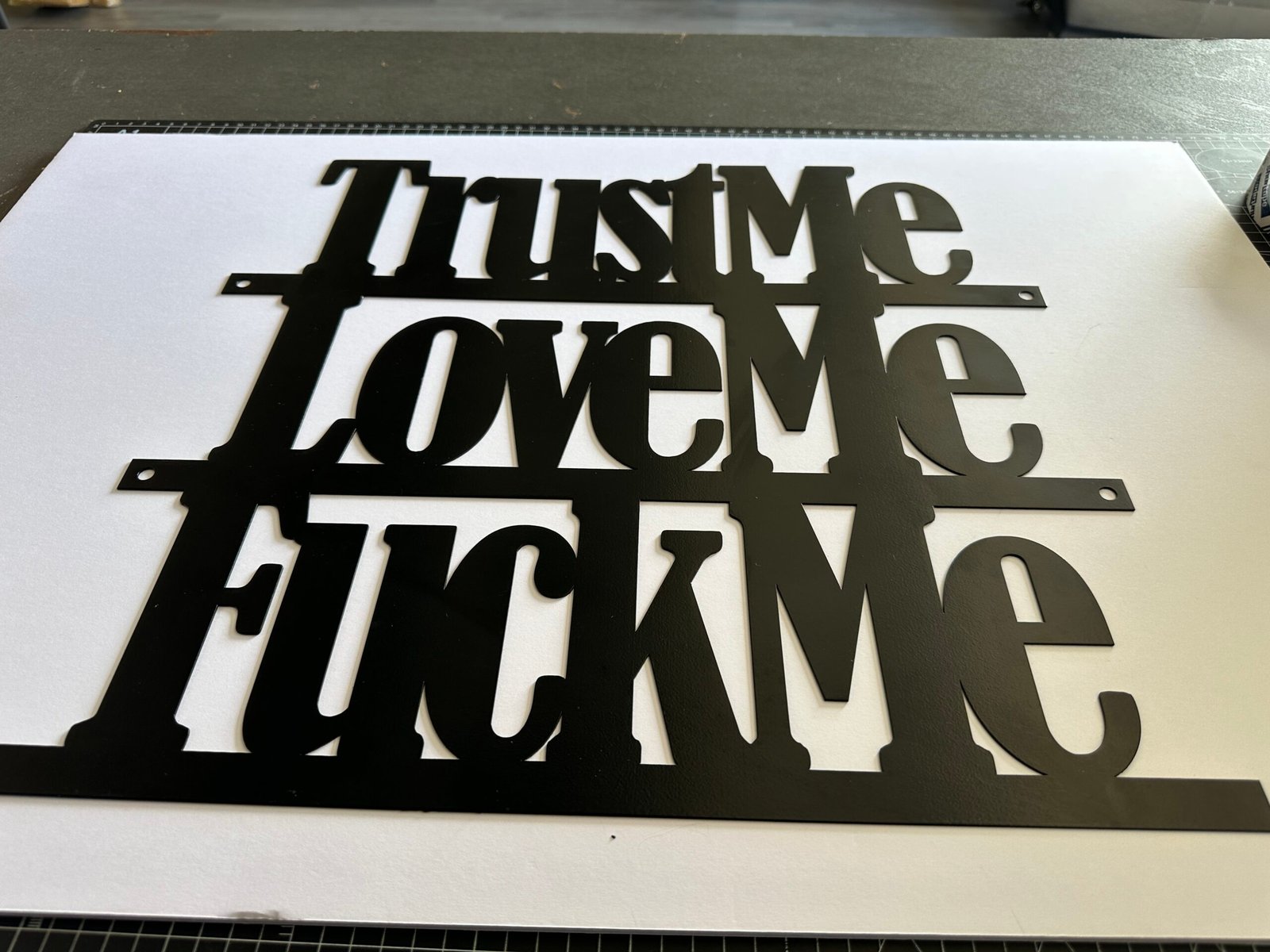 Lg-Trust Me, Love Me, F**k Me - Bold Metal Art - Image 4