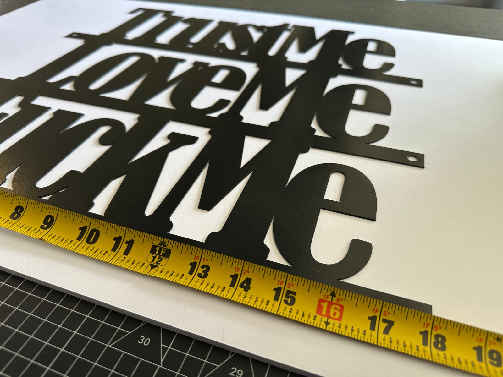 Lg-Trust Me, Love Me, F**k Me - Bold Metal Art - Image 3