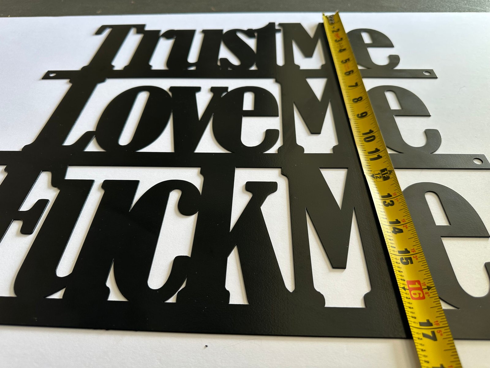 Lg-Trust Me, Love Me, F**k Me - Bold Metal Art - Image 2