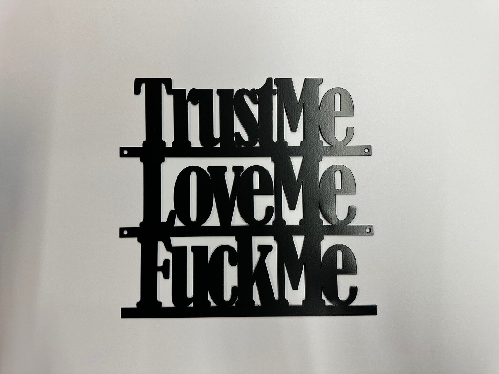 Sm-Trust Me, Love Me, F**k Me - Bold Metal Art - Image 3
