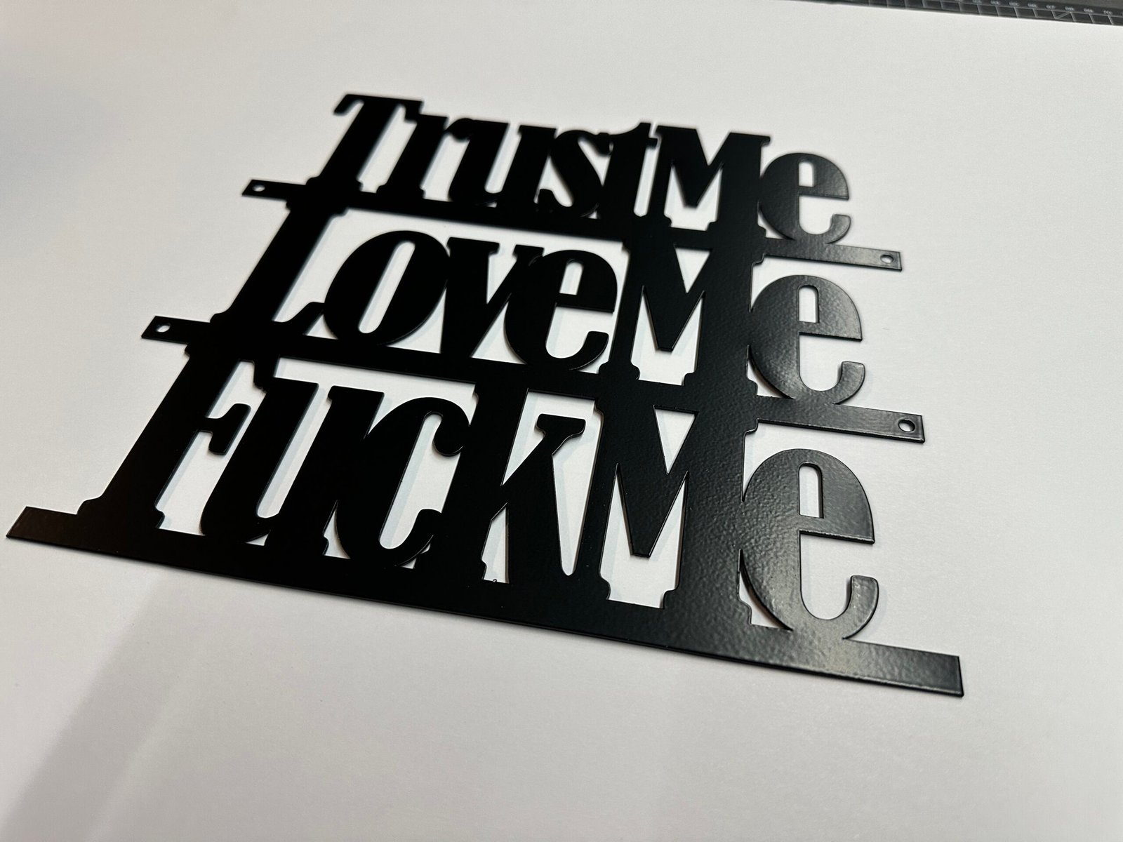 Sm-Trust Me, Love Me, F**k Me - Bold Metal Art - Image 4