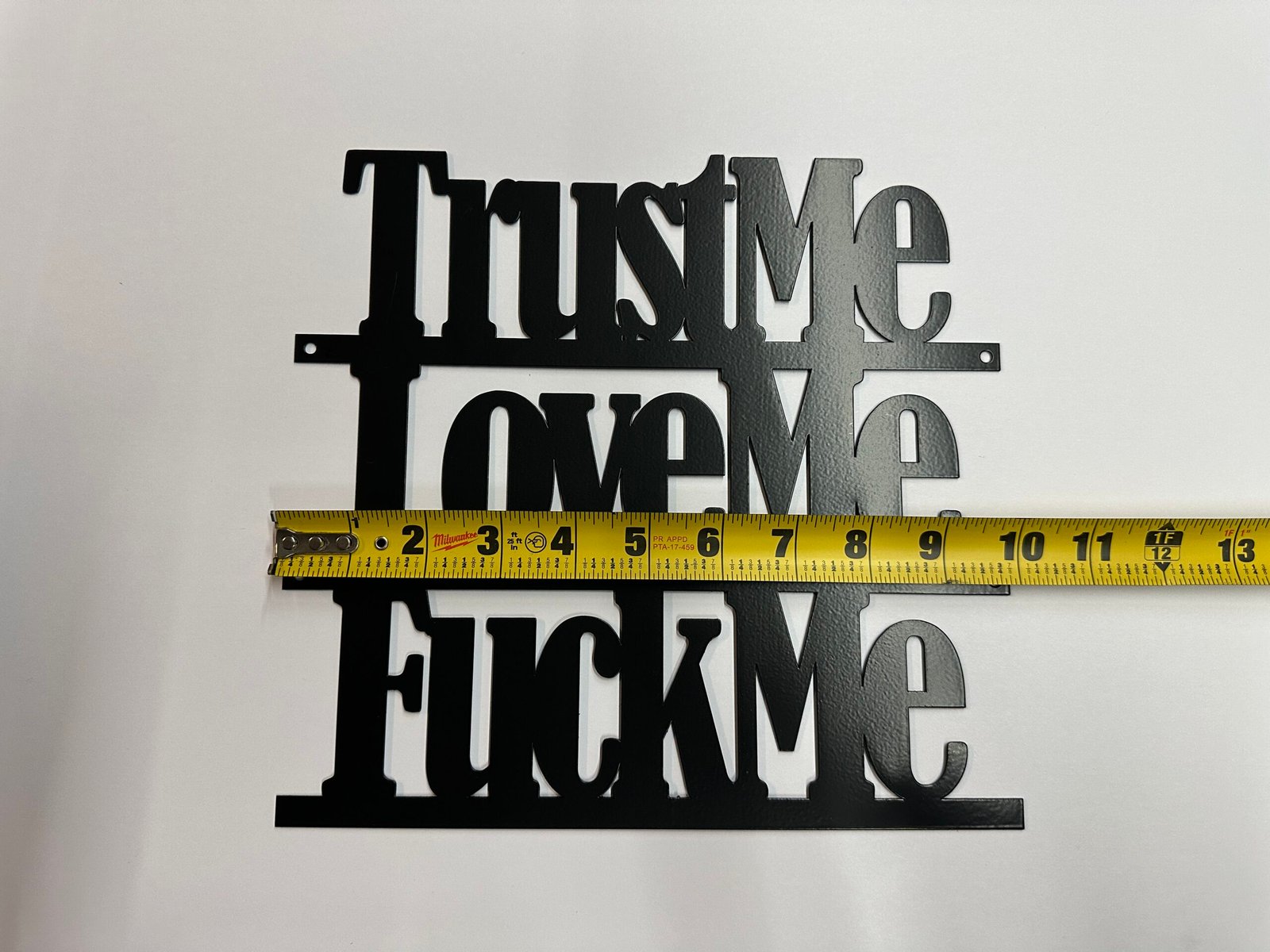 Sm-Trust Me, Love Me, F**k Me - Bold Metal Art - Image 5
