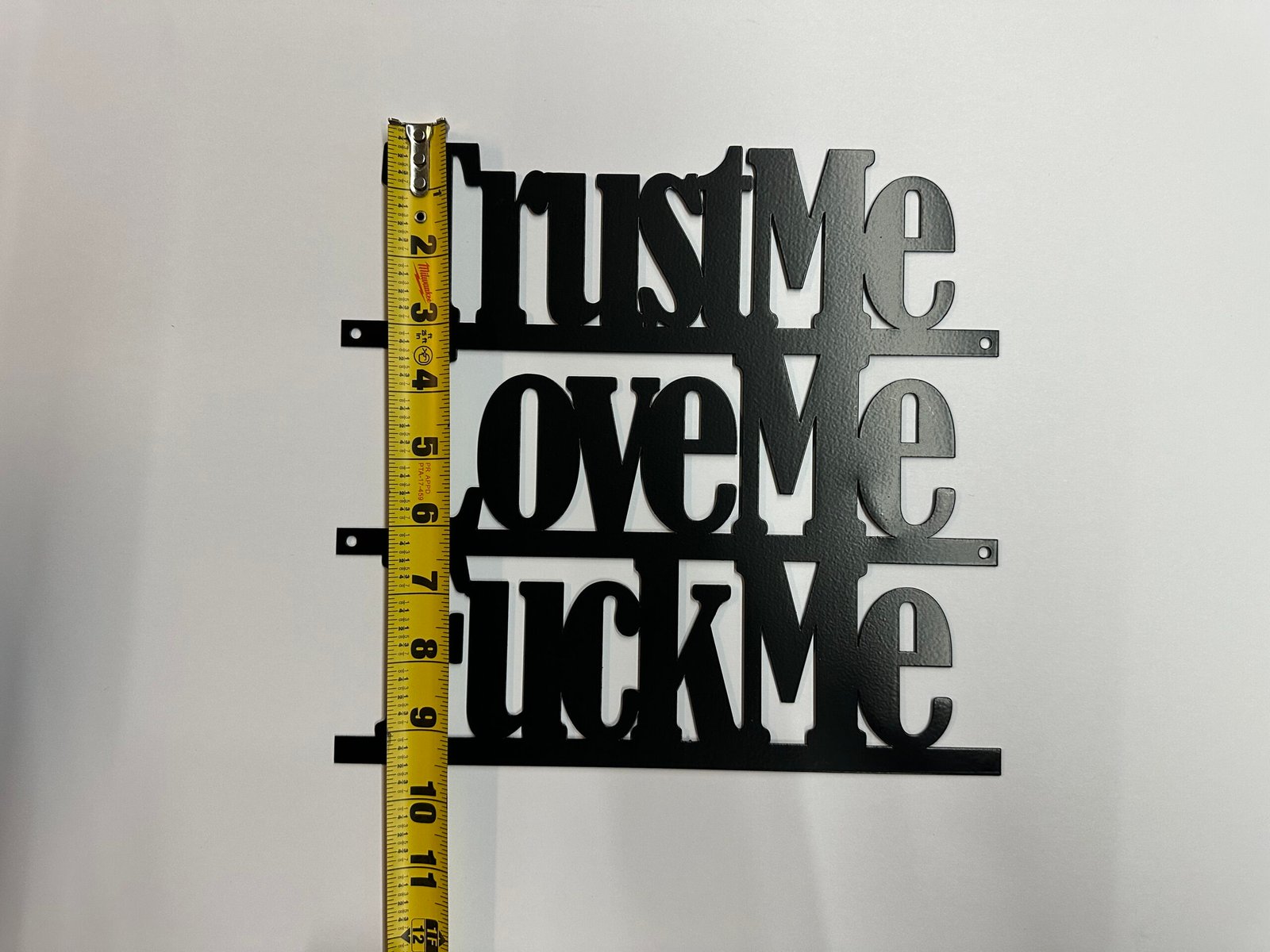 Sm-Trust Me, Love Me, F**k Me - Bold Metal Art - Image 6