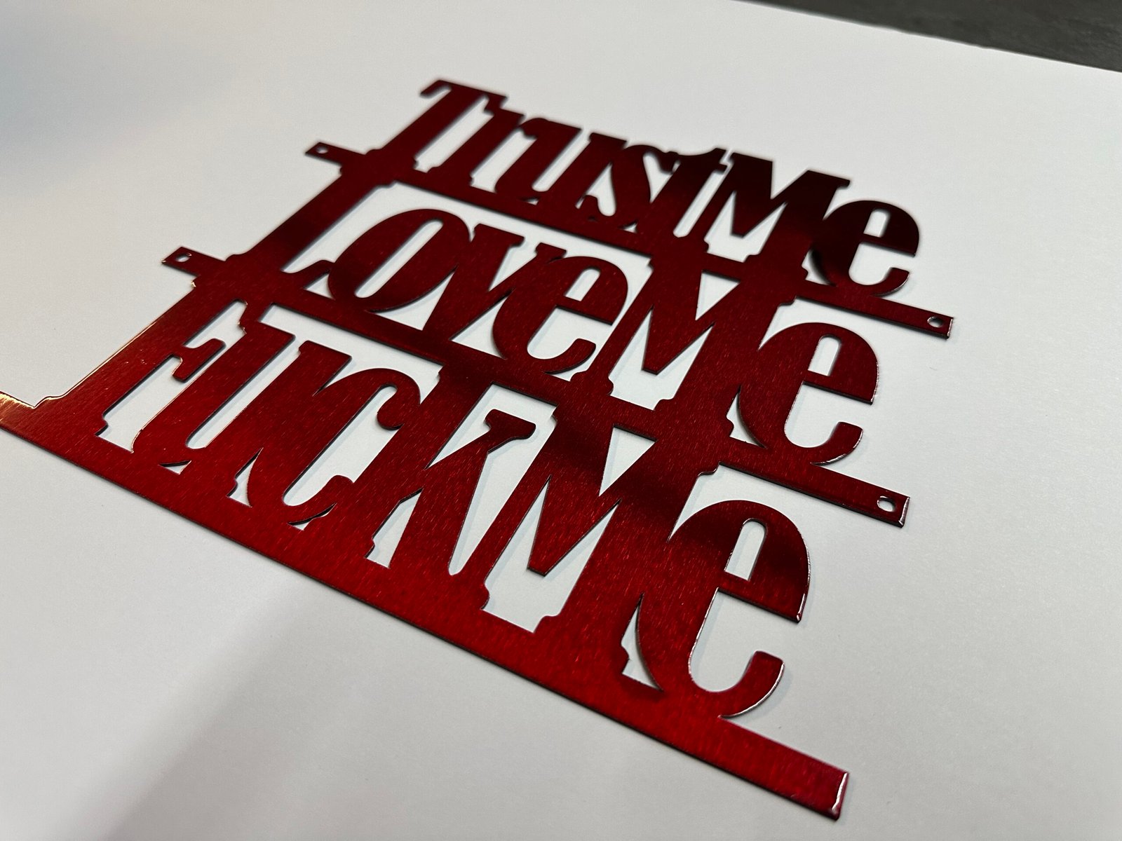 Sm-Trust Me, Love Me, F**k Me - Bold Metal Art - Image 9