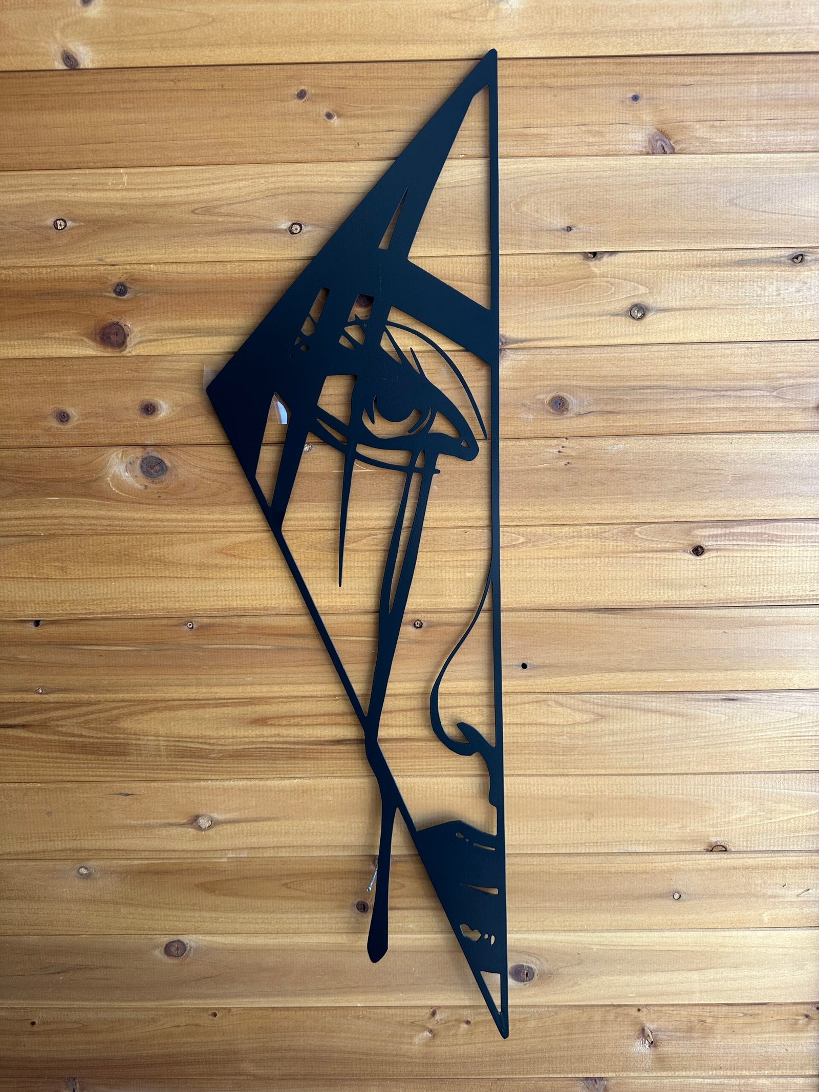 Fragmented Vision