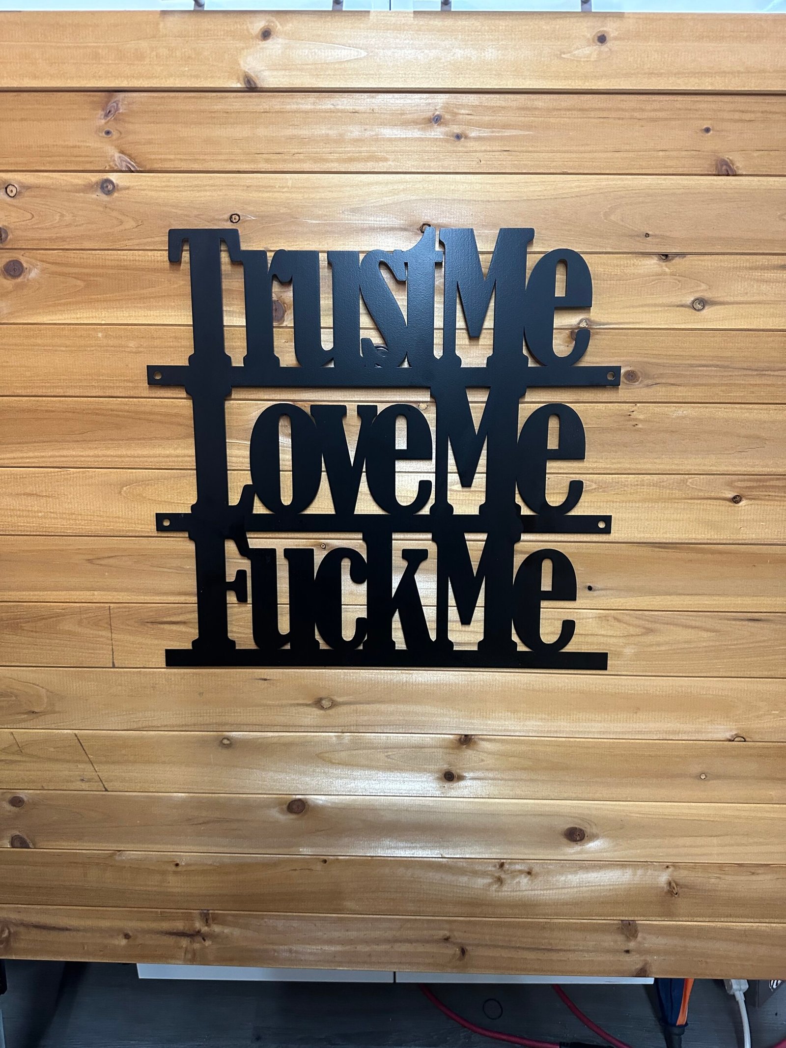 Lg-Trust Me, Love Me, F**k Me - Bold Metal Art - Image 7